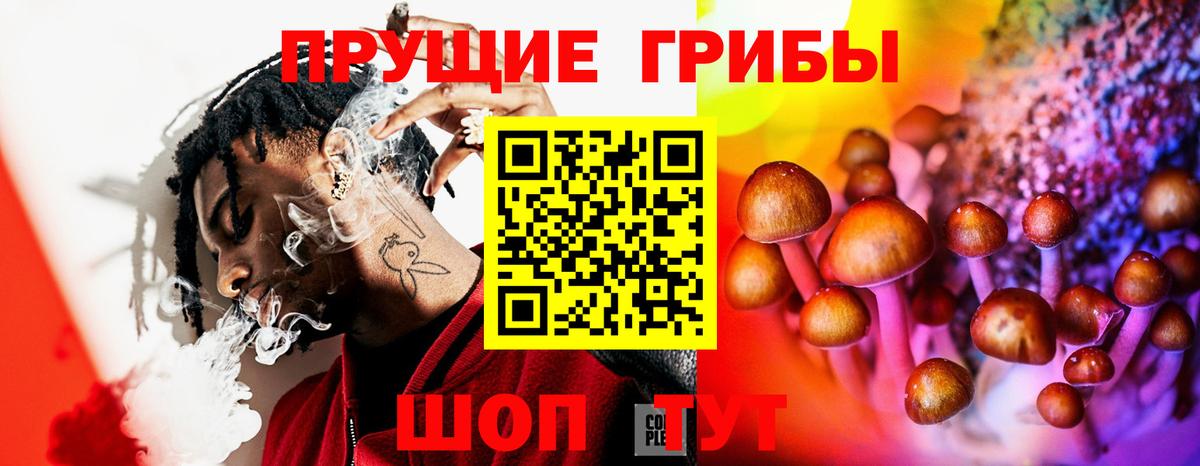Гагарин  Галлюциногенные грибы Magic Shrooms  Вход с VPN 